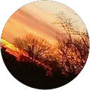 Monte 154 profile picture